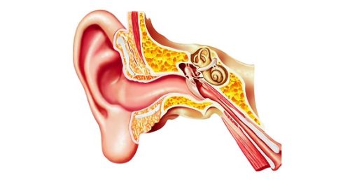 910504_2c90b60f98744641ae08952ee